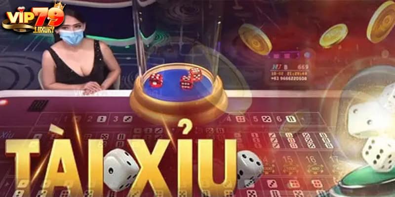 Lý do nên tham gia web tài xỉu tiền ảo